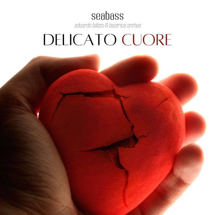 DELICATO CUORE - COPERTINA SINGOLO