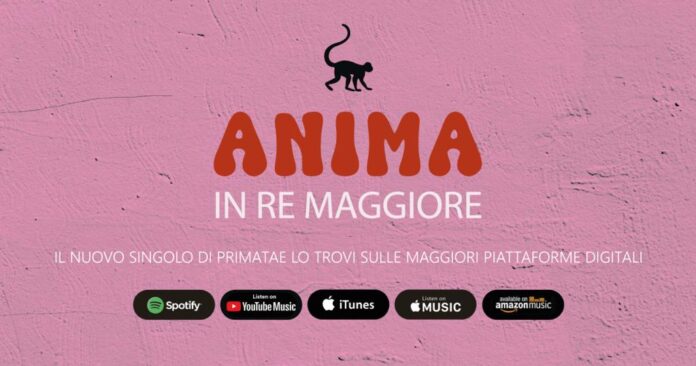 Copertina Anima in re maggiore