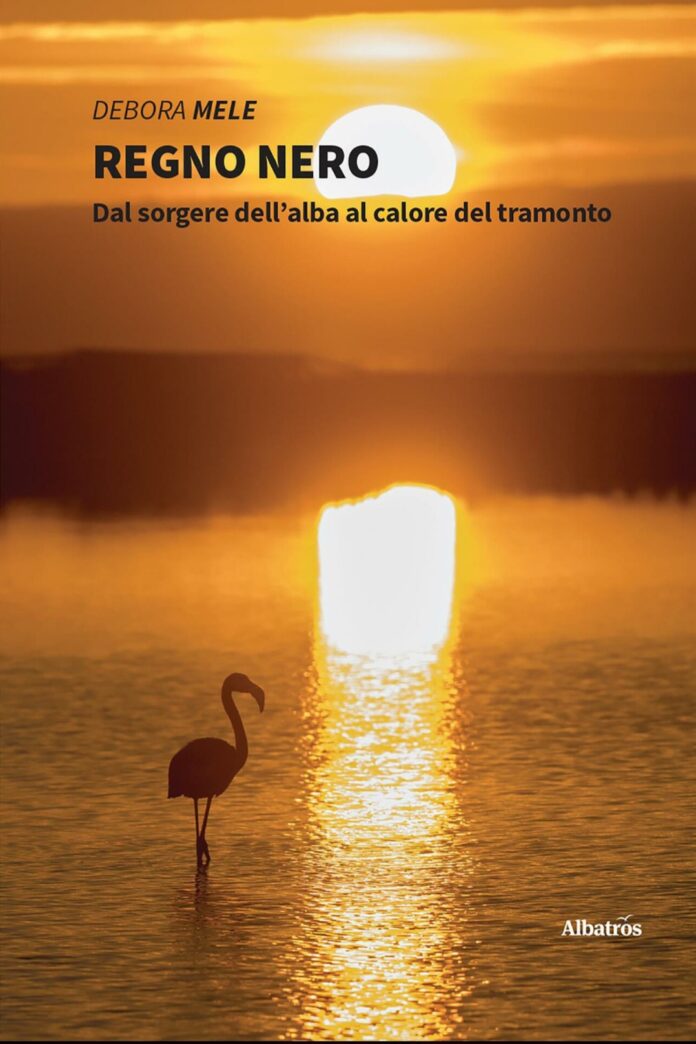 Copertina del romanzo di Debora Mele, "Regno nero" che mostra un tramonto sul mare, dalle tinte arancioni, con un fenicottero a riva.